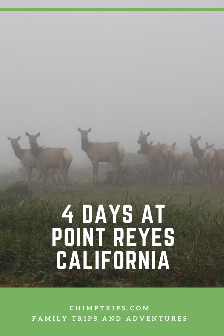 CHIMPTRIPS - 4 days at Point Reyes, California