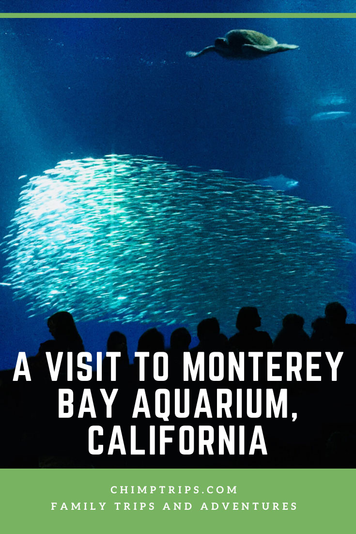 CHIMPTRIPS - A visit to Monterey Bay Aquarium, California