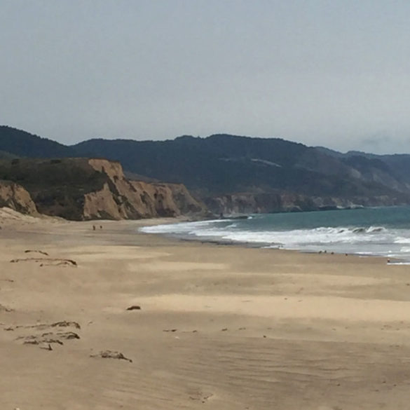 Limantour Beach, Point Reyes, California, USA