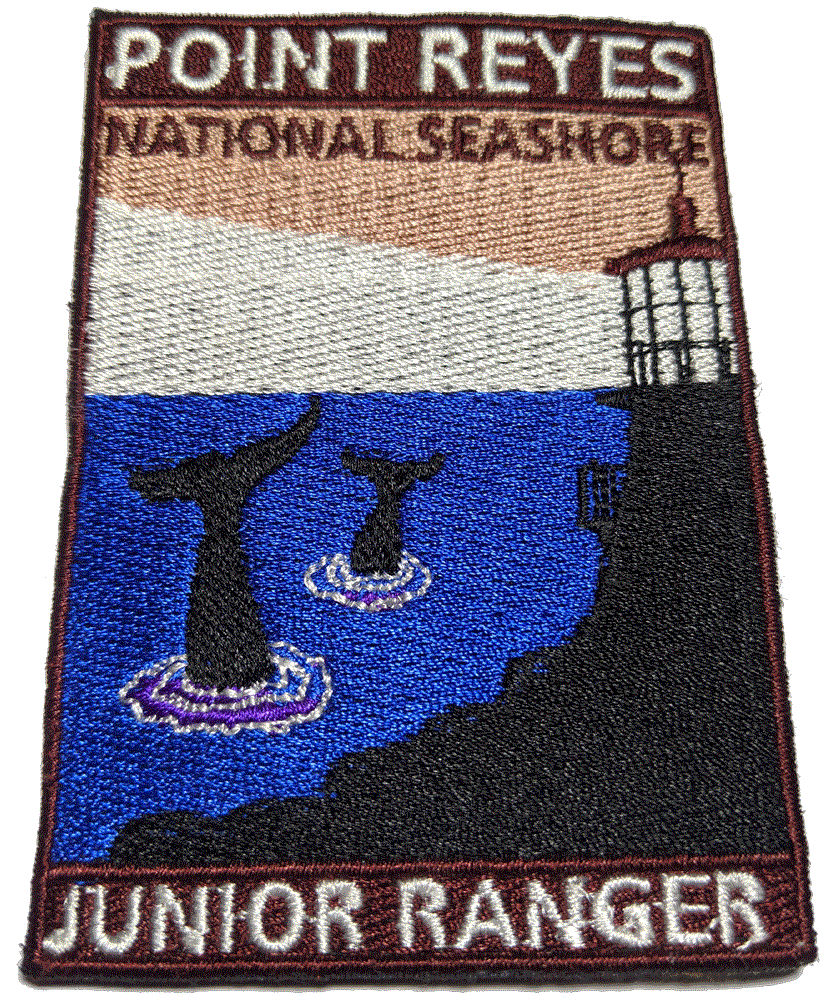 Junior Ranger Badge, Point Reyes, California, USA