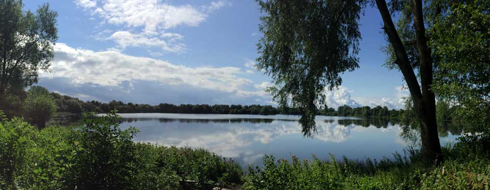 Stunning lake view through trees, with clouds reflected on a still lake