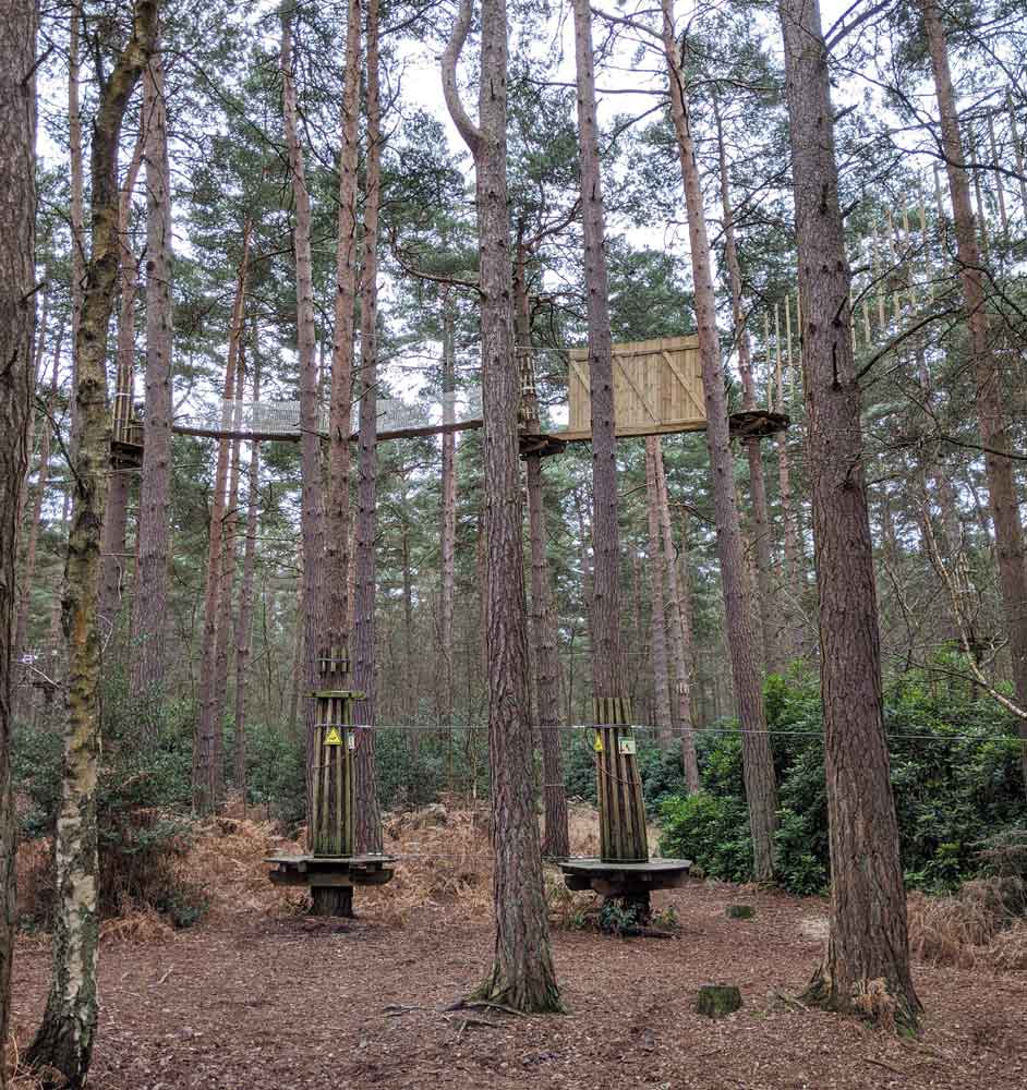 Go ape. Alice Holt, view of walking trails in trees