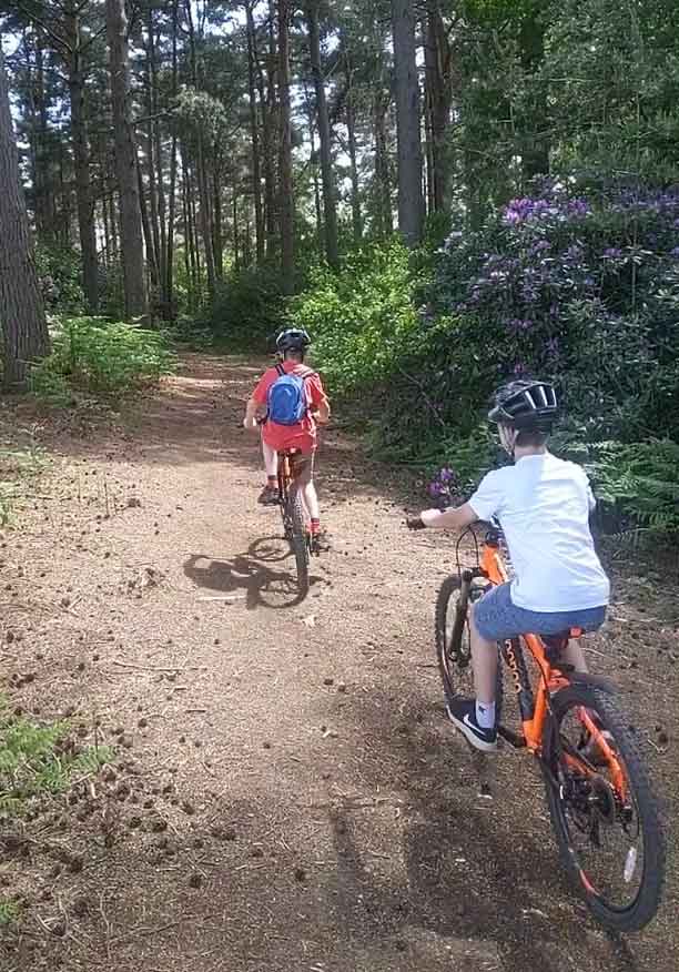 Two boys Cycling in Swinley Forest, Berkshire, England