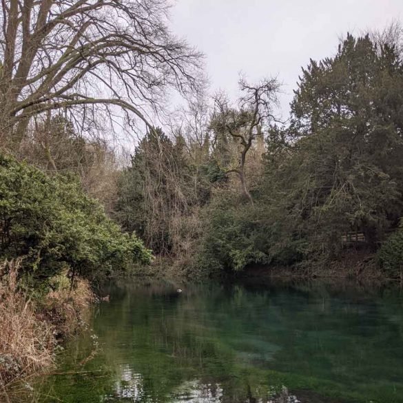 Tree lined clear waters at Silent Pool, Albury, Surrey