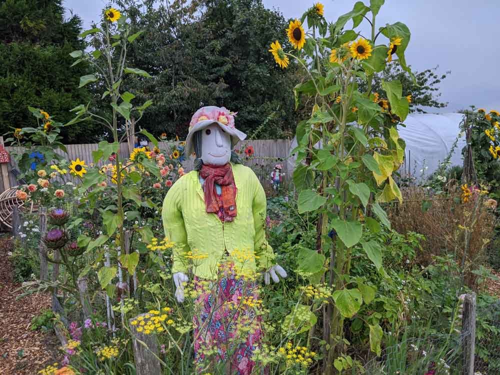 Friendly female Scarecrow dressed in bright colours surrounded by sunflowers at Freshwinds Farm Garden, Sussex