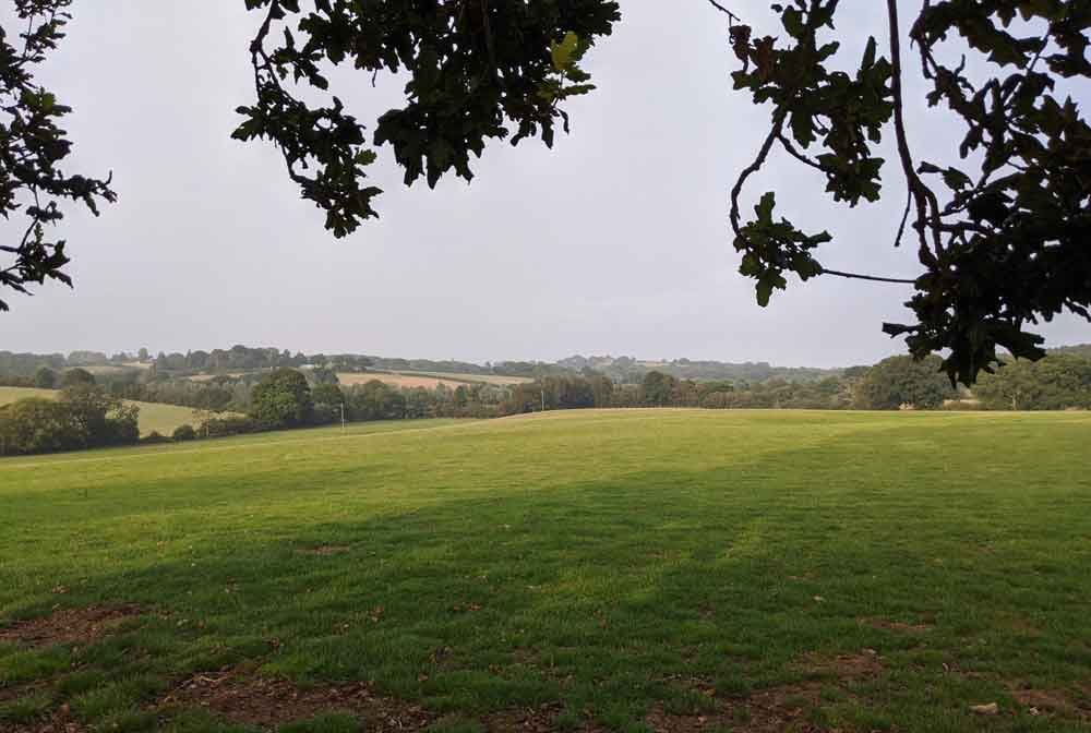 Views of green fields and woodland framed by oak tree branches at Freshwinds Camping, Sussex