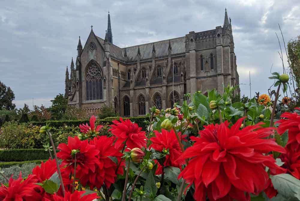 view of Arundel Cathedral with red flowers from castle gardens