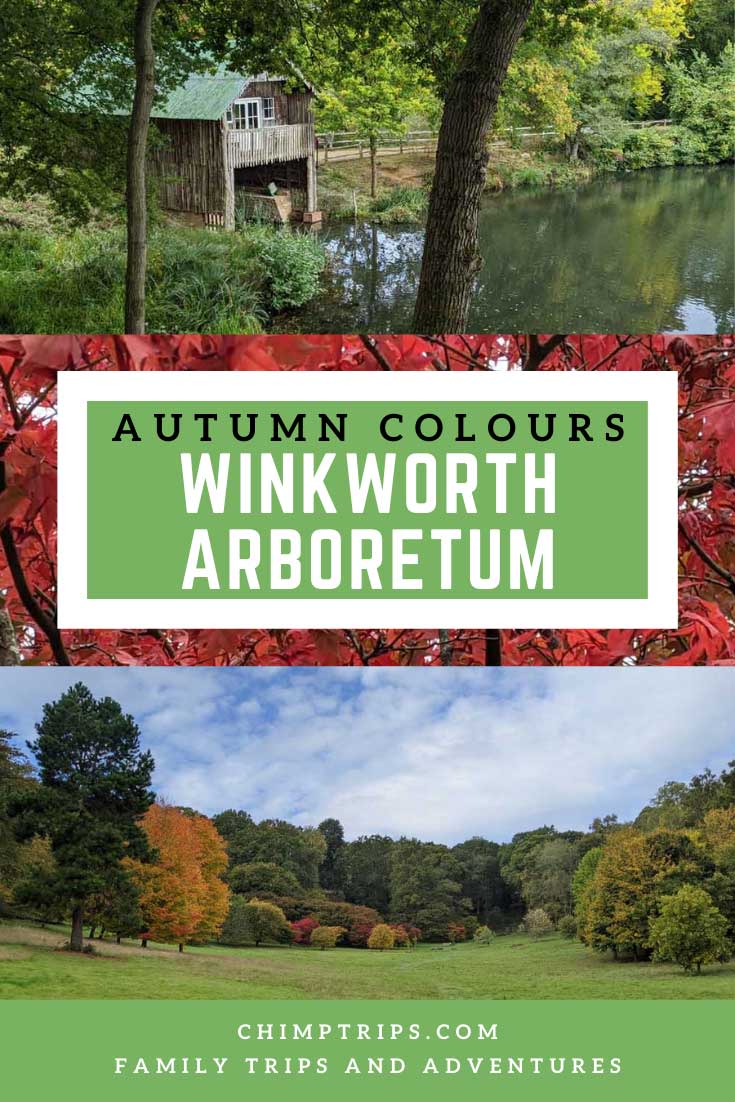 Pinterest: Autumn Colours at Winkworth Arboretum