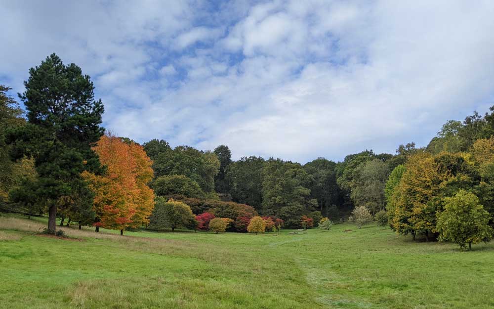 Autumn colours, Badgers Bowl at Winkworth Arboretum, Goldaming, Surrey