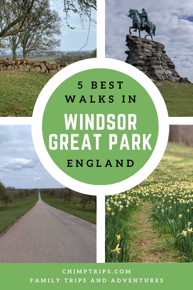 Pinterest: 5 Best walks in Windsor Great Park