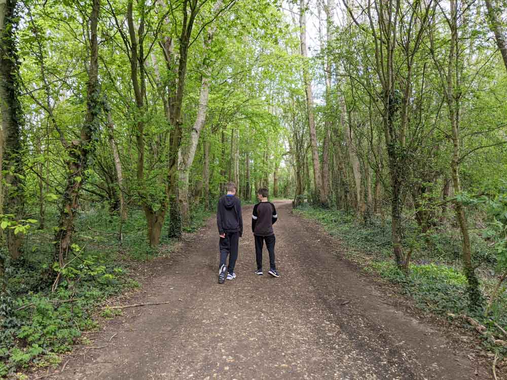 Woodland walk at Dinton Pastures, Berkshire, UK