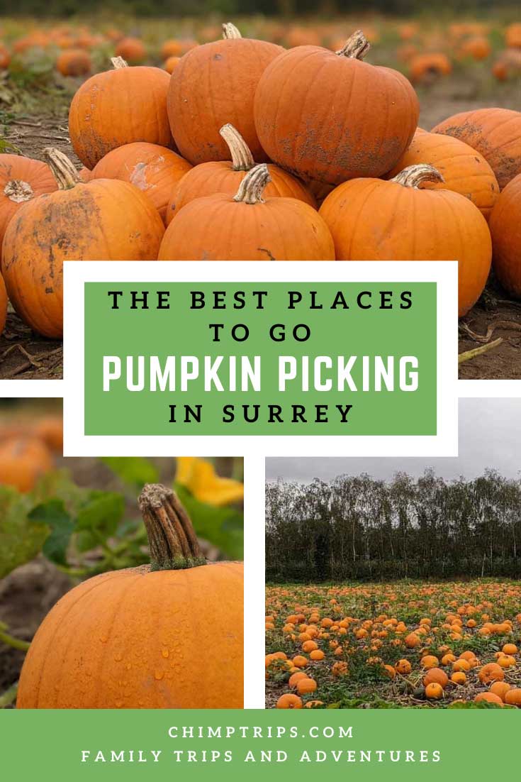 Pinterest: The best places to go pumpkin picking in Surrey, UK