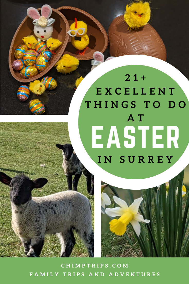 21+ excellent things to do at Easter in Surrey Pinterest cover for things to do at Easter in Surrey, with chocolate eggs, lambs and daffodils