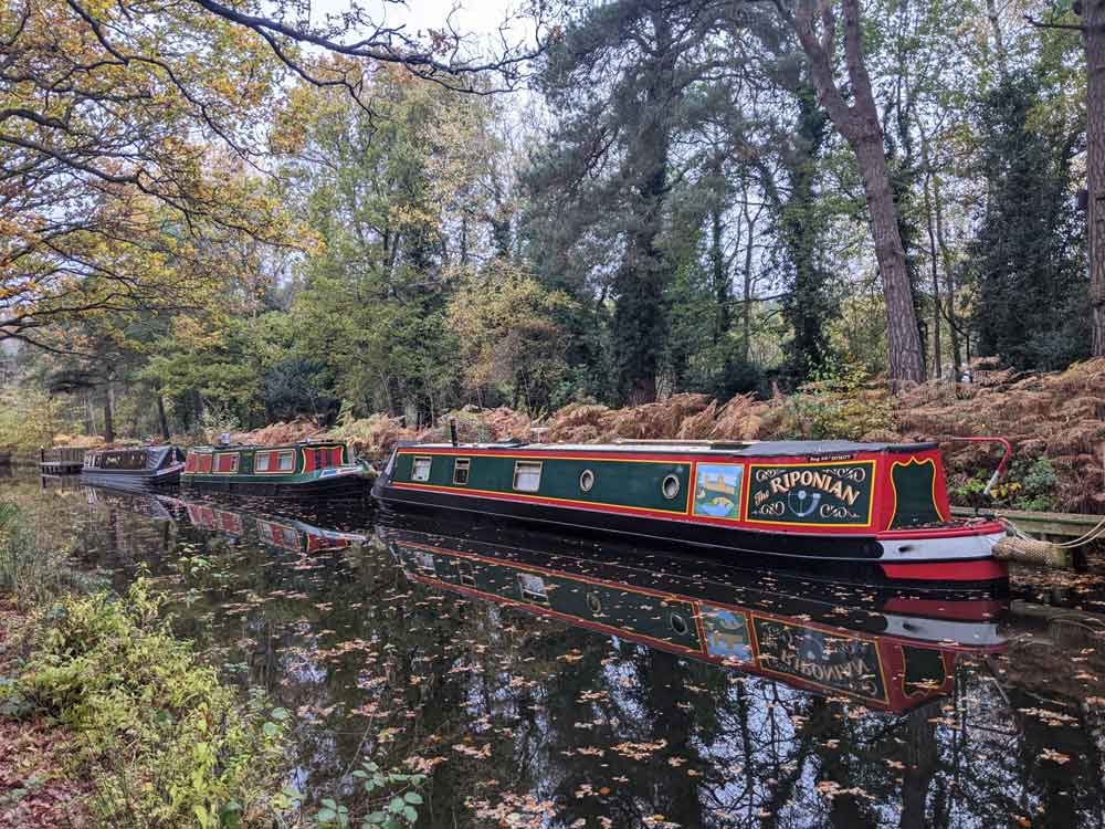 Autumn at Basingstoke Canal. Surrey