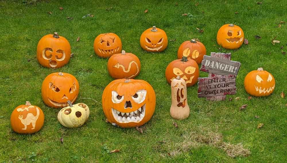 Display of halloween pumpkins on lawn