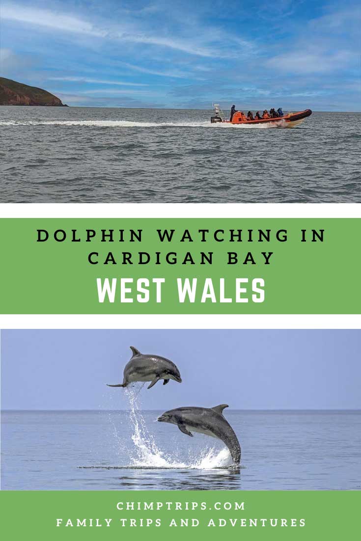 Pinterest: Dolphin watching in Cardigan Bay, West Wales