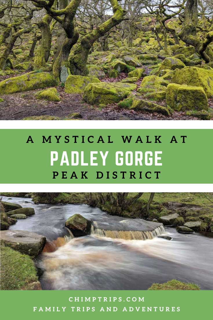 Pinterest: A mystical walk at Padley Gorge