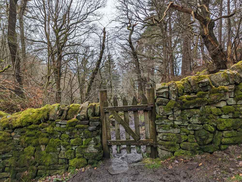 Gate in Stone Wall, Padley Gorge