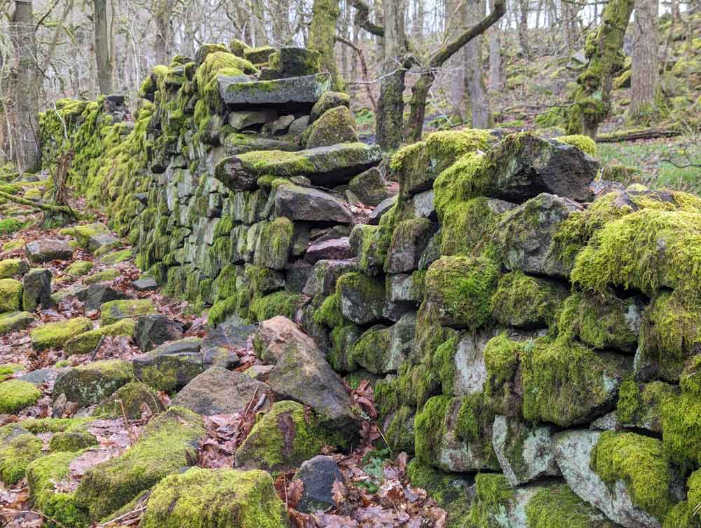 Stone Wall, Padley Gorge