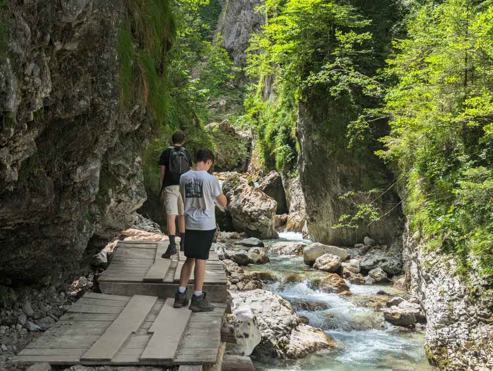 Walking through the Gorge, Granjska Gora