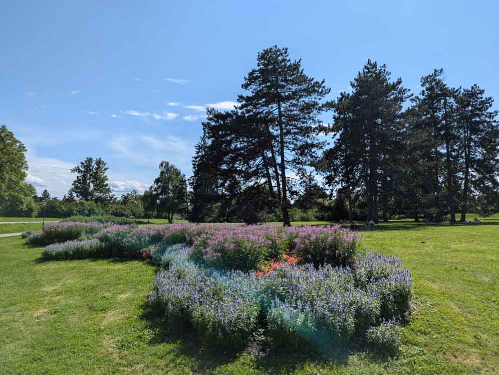 Flower beds and trees at Tivoli Park, Ljubljana, Slovenia