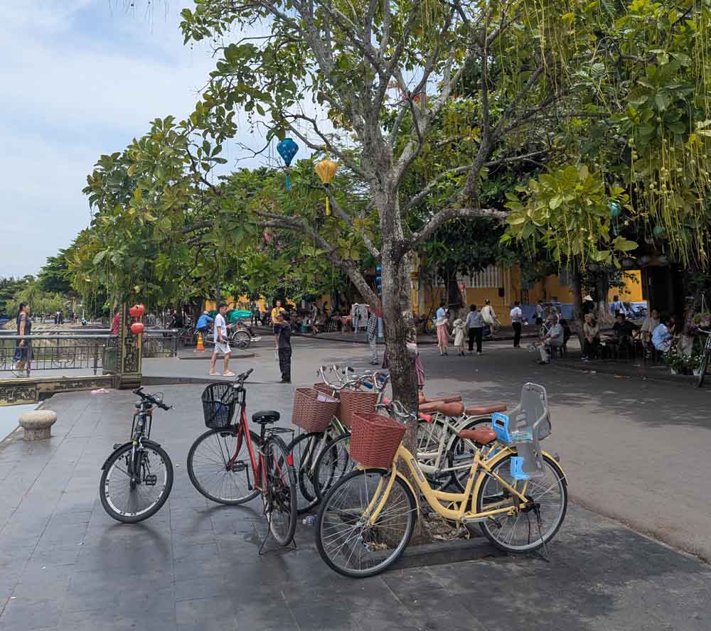 Cycling in Hoi An, Vietnam Bikes parked under tree in Hoi An, Vietnam