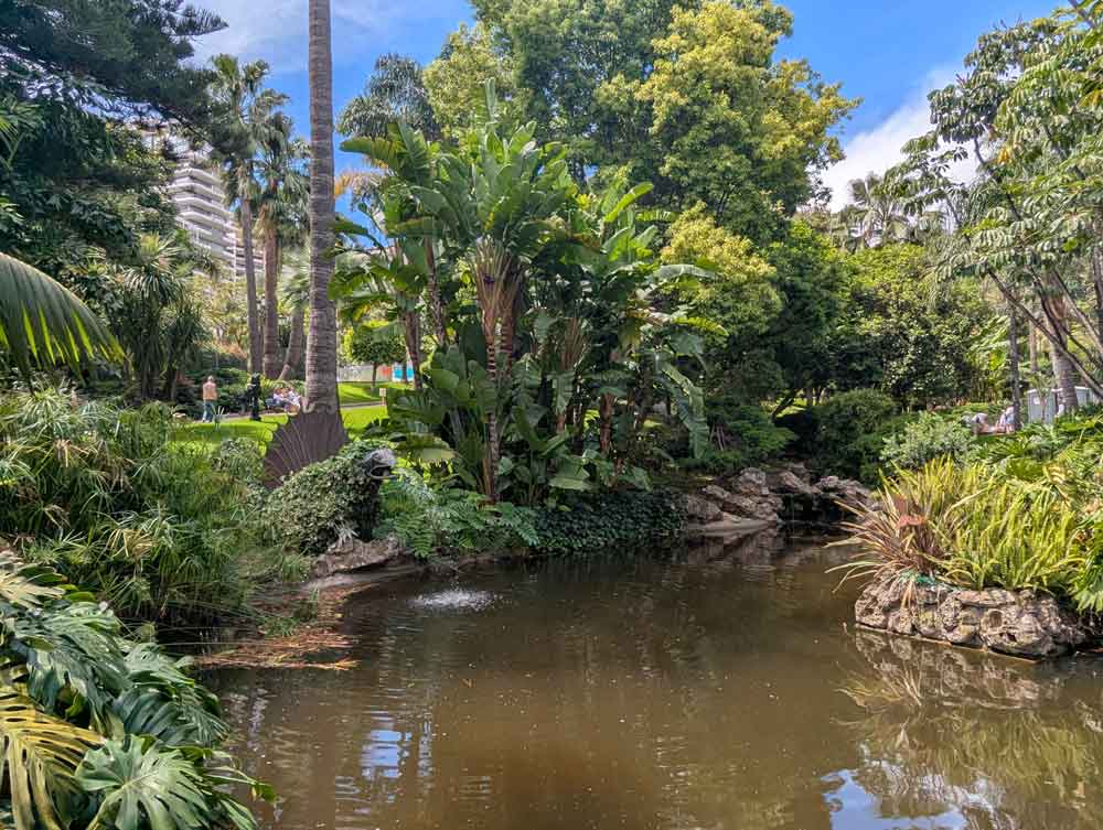Small brown lake in front of exotic trees and palms in the Jardins de la Petite Afrique, Monaco