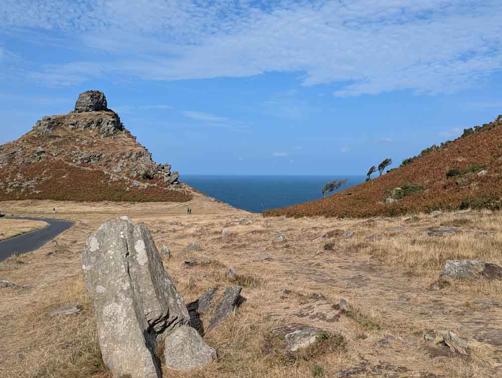rock formations in background, dry grass with rocks in foreground