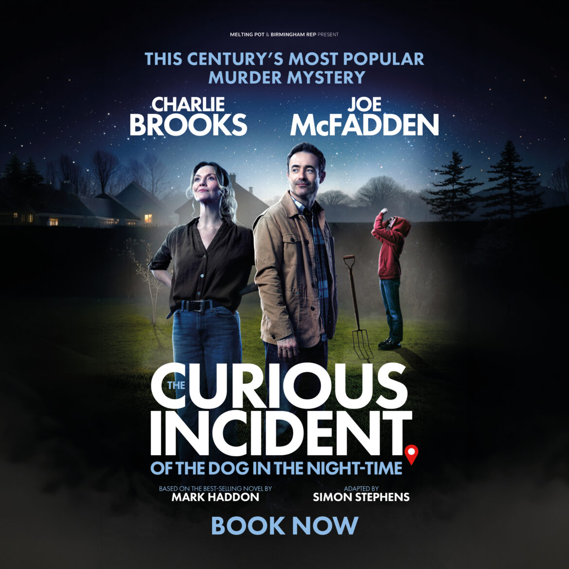 Poster for the Curious Incidents of the Dog in the Night-Time